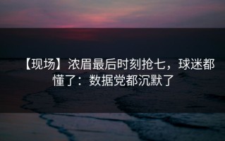 【现场】浓眉最后时刻抢七，球迷都懂了：数据党都沉默了