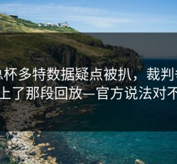 足总杯多特数据疑点被扒，裁判争议对上了那段回放—官方说法对不上