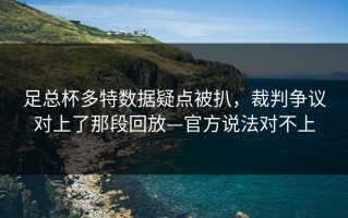 足总杯多特数据疑点被扒，裁判争议对上了那段回放—官方说法对不上