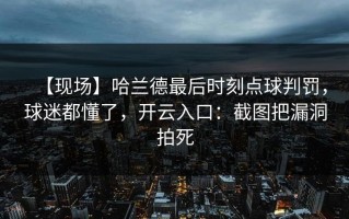【现场】哈兰德最后时刻点球判罚，球迷都懂了，开云入口：截图把漏洞拍死