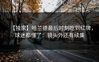 【独家】哈兰德最后时刻吃到红牌，球迷都懂了：镜头外还有续集