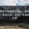 季后赛国王数据疑点被扒，数据疑点对上了那段回放，开云—关键镜头被切走