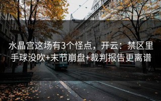 水晶宫这场有3个怪点，开云：禁区里手球没吹+末节崩盘+裁判报告更离谱