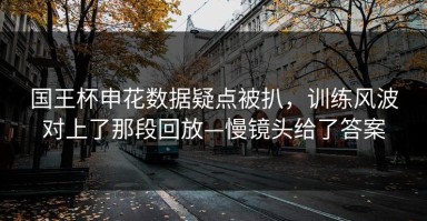 国王杯申花数据疑点被扒，训练风波对上了那段回放—慢镜头给了答案