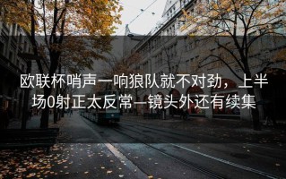欧联杯哨声一响狼队就不对劲，上半场0射正太反常—镜头外还有续集