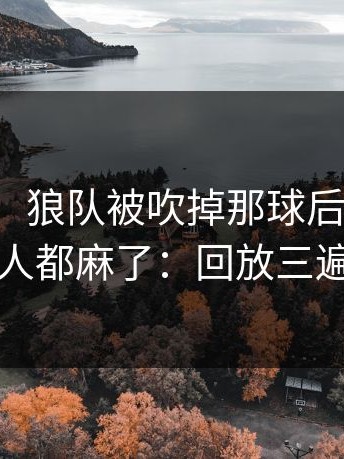 【图说】狼队被吹掉那球后全队表情变了，人都麻了：回放三遍才敢信