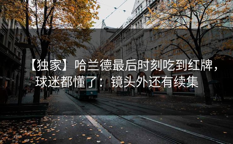 【独家】哈兰德最后时刻吃到红牌，球迷都懂了：镜头外还有续集-第1张图片-开云体育app正版 - 官方唯一下载