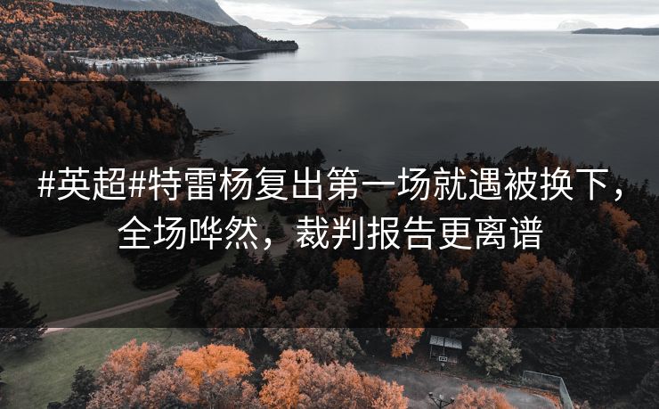#英超#特雷杨复出第一场就遇被换下，全场哗然，裁判报告更离谱-第1张图片-开云体育app正版 - 官方唯一下载