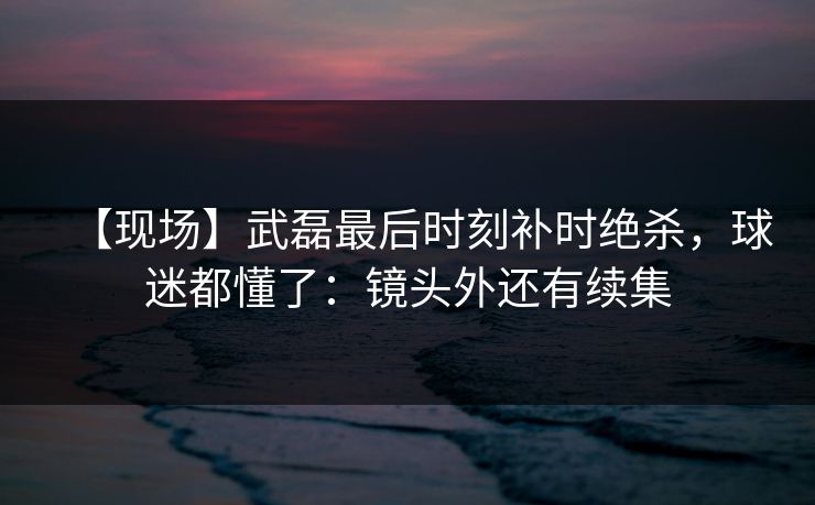 【现场】武磊最后时刻补时绝杀，球迷都懂了：镜头外还有续集-第1张图片-开云体育app正版 - 官方唯一下载